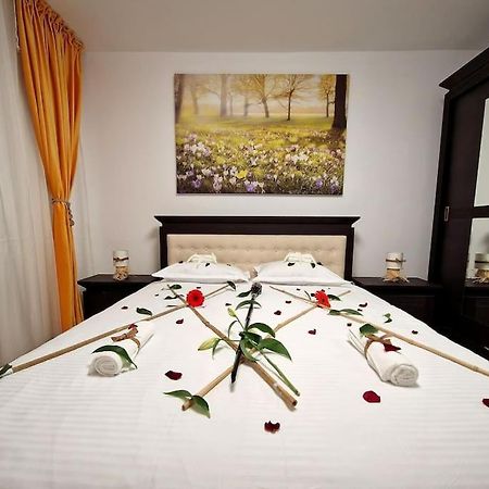 Forest Intimate Hideaway - Sub Padure Love Nest Apartment Brașov Exterior foto